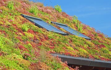 Pipsden living roof systems