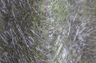 Pipsden fibreglass roof work
